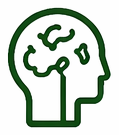 Brain Connectivity