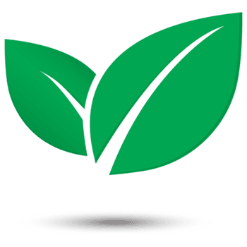 Leaf Center Icon